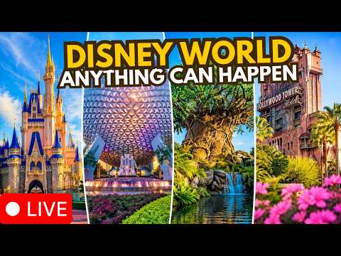 Live webcam of Disney Parks with Love