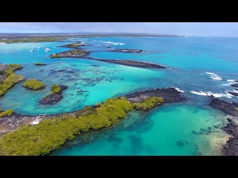 جزر غالاباغوس فردوس استوائي يحبس الأنفاس