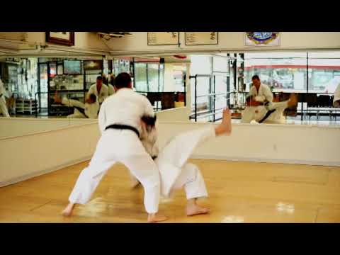 International Karate Association, Glendale CA.