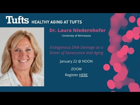 Healthy Aging at Tufts: Speaker  Dr.  Laura Niedernhofer