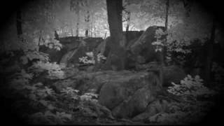 Agalloch - The Melancholy Spirit