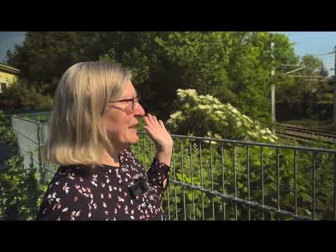 Verheerende Umweltschäden, Klima- und CO2-Bilanz durch großflächige Versiegelung