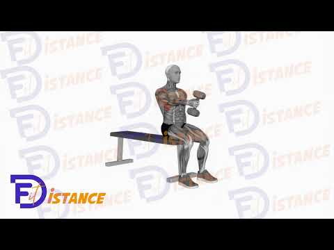 Élévations frontales alternées avec haltère en position assise - Exercice Élévations frontales alternées avec haltère en position assise en vidéo