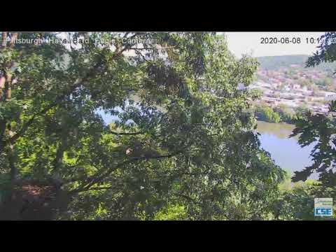 Hays Eagles H12 is back ! 2020 06 08 1018am