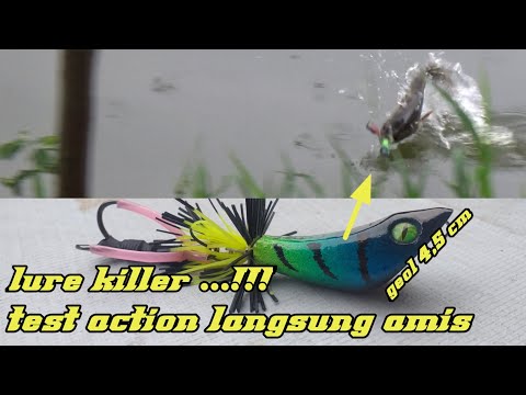 TEST ACTIONS GEOL LANGSUNG AMIS || LURE KILLER CASTING GABUS