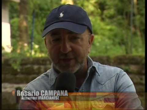 servizio SERPENTARA - MARCIANISE = 1 - 0