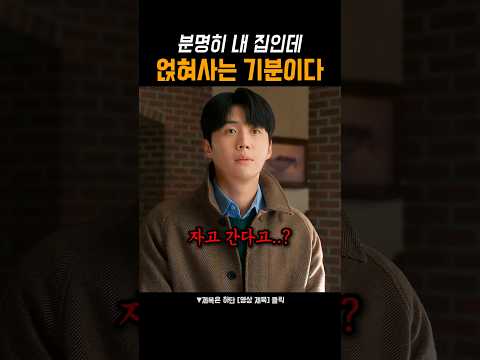 우리집 지박령 선생님 #이사랑통역되나요