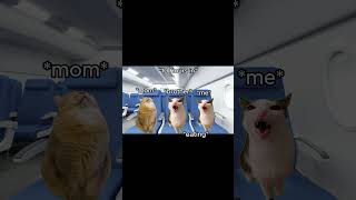 CAT MEMES 🐱 12 HOUR Flight To Korea #catmemes #relatable #shorts