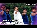 Nelanadiga Puvvulanadiga Priyamaina Neeku Movie Dolby Digital Audio Full HD Video Song