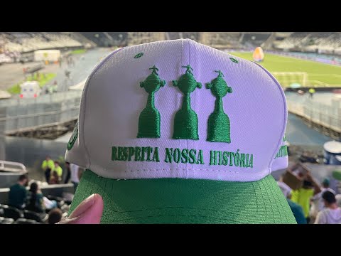 Reação da Torcida do Palmeiras no Estádio após o jogo Botafogo 3x4 Palmeiras, que virada gigante.