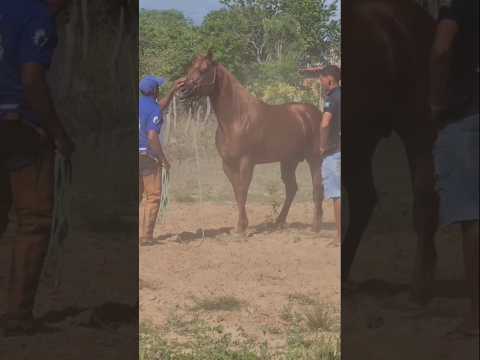 Tarde animada na Prata do Piauí
