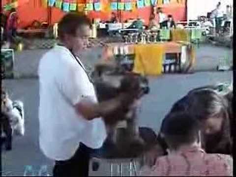 Bhoomi on Tibet Dog Europe 2006