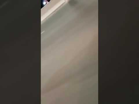 Road King in Brazil with bagger friend . ROAD KING MAFIA AND BAGGER MAFIA