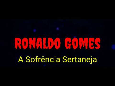 Porto Seguro video