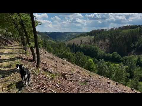 2020-07-12 Yunas Geburtstag