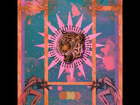 Premiere: Deep Ändi - Seamless feat. LIJEL [Trippin Tigers]