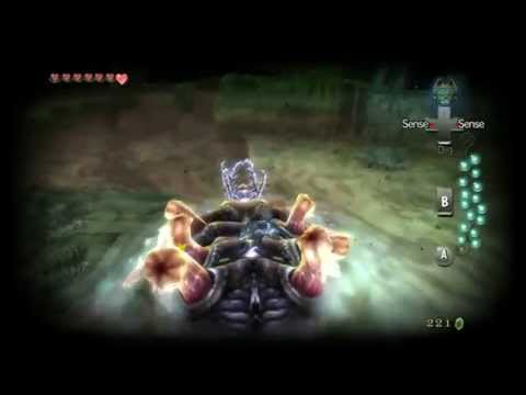 Top 5 Best Mini-Bosses - The Legend of Zelda - Twilight Princess