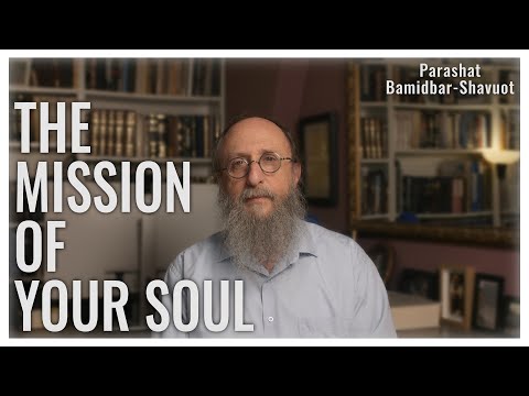 Parashat Bamidbar - Shavuot 5785 | Will You Stand at Sinai this Year?