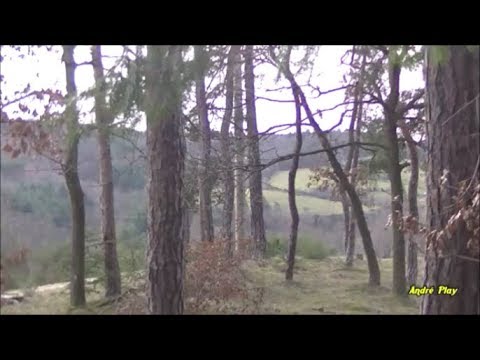 Moment détente à la campagne "la Côte Martin" 9 février 2020