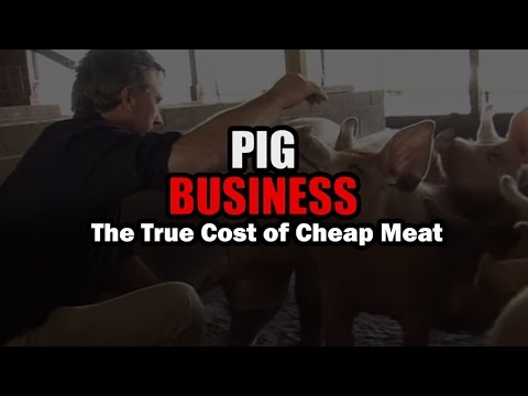 , title : 'Pig Business - English'