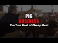 Documentary Health - Pig Business