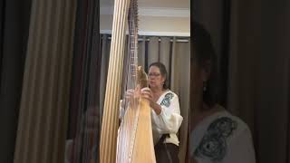 What Child is This/Greensleeves