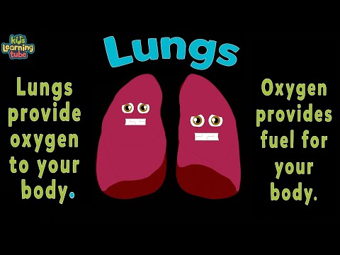 Lung Anatomy Song