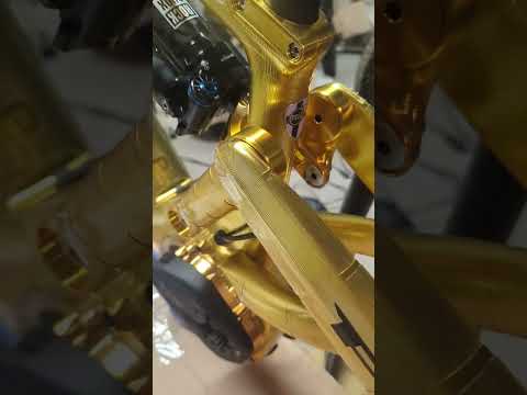 Did I buy a shabby Pole Voima ebike - What will come of it.