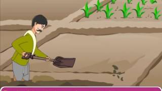 Methods to prevent Soil Erosion