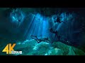 4K Cenotes Dive Relaxation Video Mexican Underwater Caves Incredible Underwater World 3 HOUR