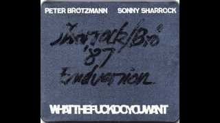 Peter Brötzmann & Sonny Sharrock - Whatthefuckdoyouwant 2
