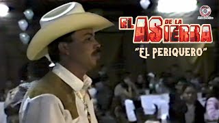 El Periquero Lyrics English Translation
