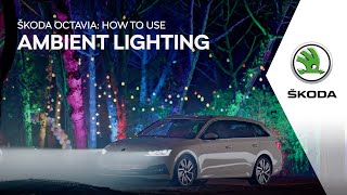 OCTAVIA: How to use Ambient Lighting Trailer