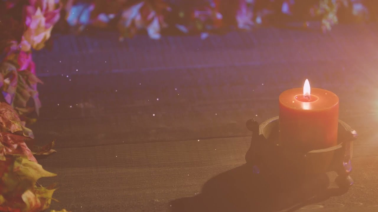 Thanksgiving Motion Background Package  Royalty Free Autumn Video Loops