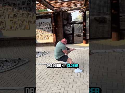 He Challenged a 400kg Tiger… Big Mistake 😳