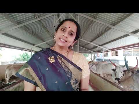 Vijayashri Satsangam-Ep 29-Humility& Forbearance-Jasmine, Bamboo and Cow-Sri Anna's Upadesa Mozhigal