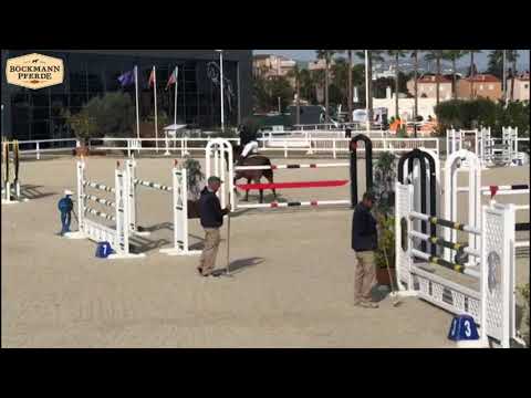 "Lukanec" - 9 j. W v. Lordanos x Lord Liberty