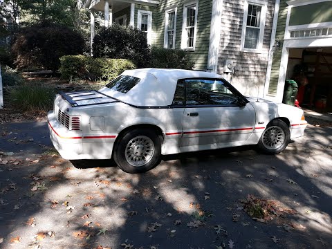 1987 Ford Mustang (CC-1418070) for sale in Tampa, Florida