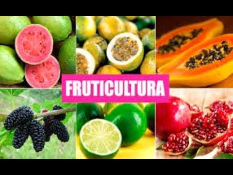 Fruticultura - exigências nutricionais - 3 série