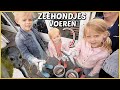 ZiEKE ZEEHONDJES REDDEN ZE UiT DE ZEE ? | Bellinga Vlog #2159