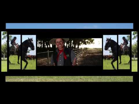 JOÃO LUIZ CORRÊA 15 ANOS DVD TELÃO EU TÔ GRANDÃO