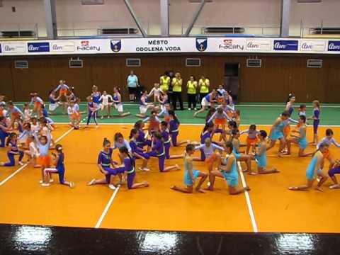 Společná tleskačka