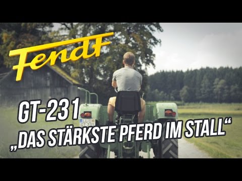 Das stärkste Pferd in deinem Stall