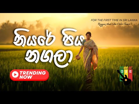 Niyare Piya nagala | නියරේ පිය නගලා #reggae #reggae version #sinhalasongs #viralvideo #trending #sl