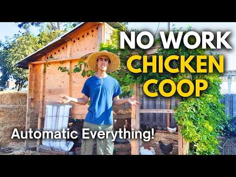 The EASIEST Way to Build a Chicken Coop with Automatic Food and Water