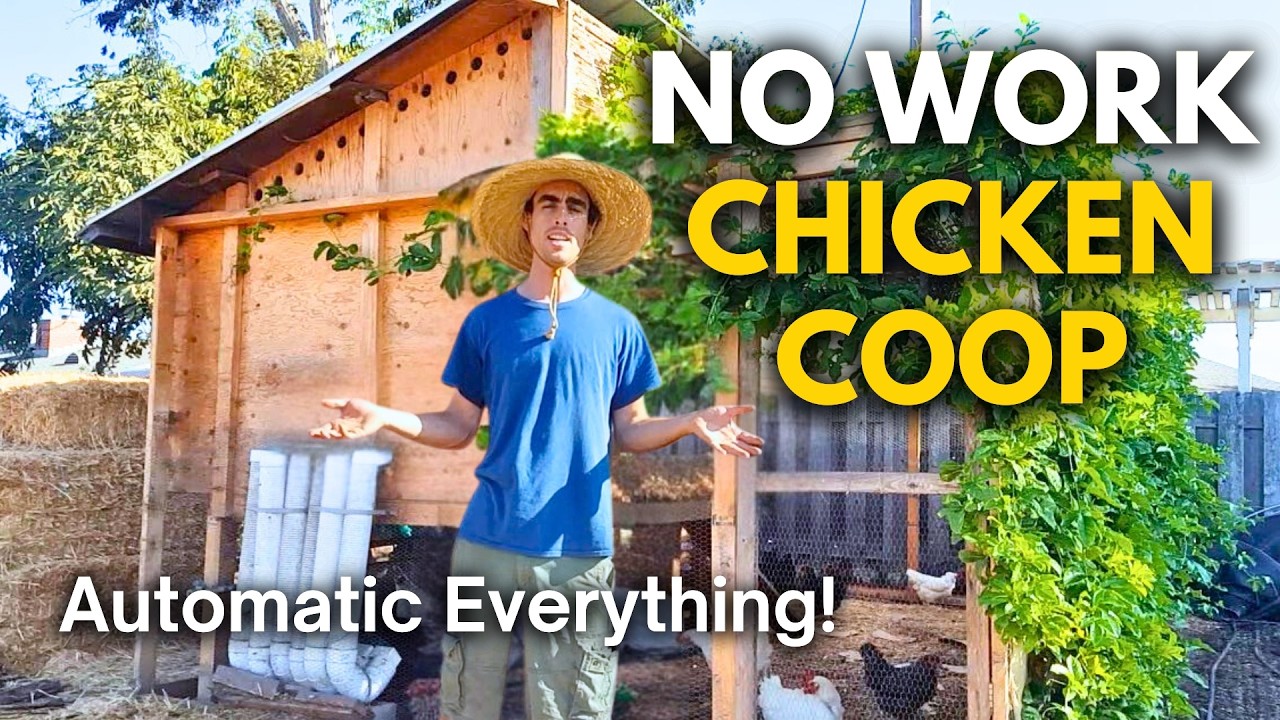 How to Design a Chicken Coop: Automatic Food, Water, Easy to Clean