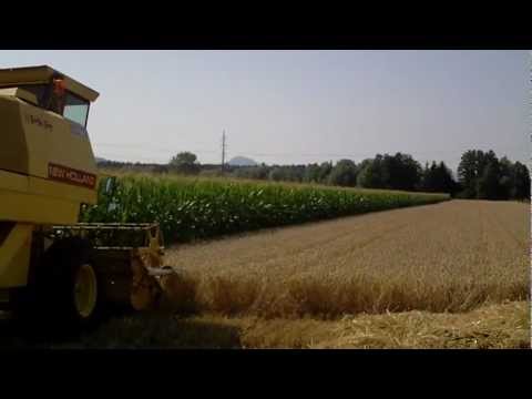 Sperry New Holland 8030 (Sound!!!)