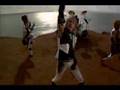 Daizy Stripper - Dandelion 