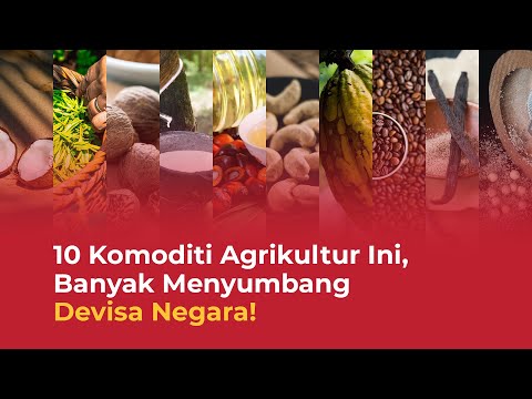 , title : 'Top 10 Komoditas Ekspor dari Sektor Pertanian dan Perkebunan Indonesia!'