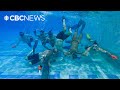 Underwater hockey is a twist on Canada's favourite game